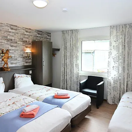 Tatil Evi Spacious Near Ski Area In Winterberg